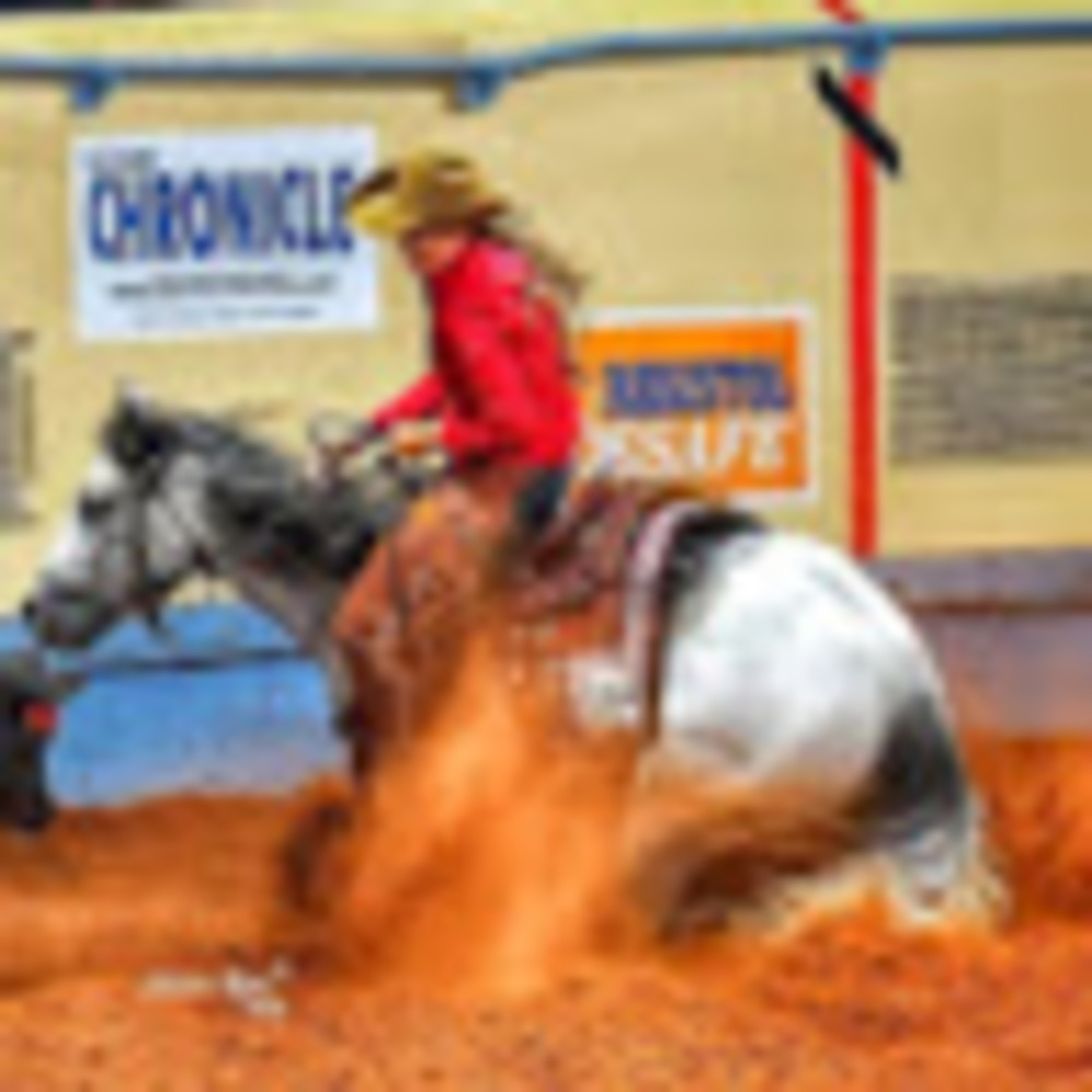 Meet your Posher, Tylor